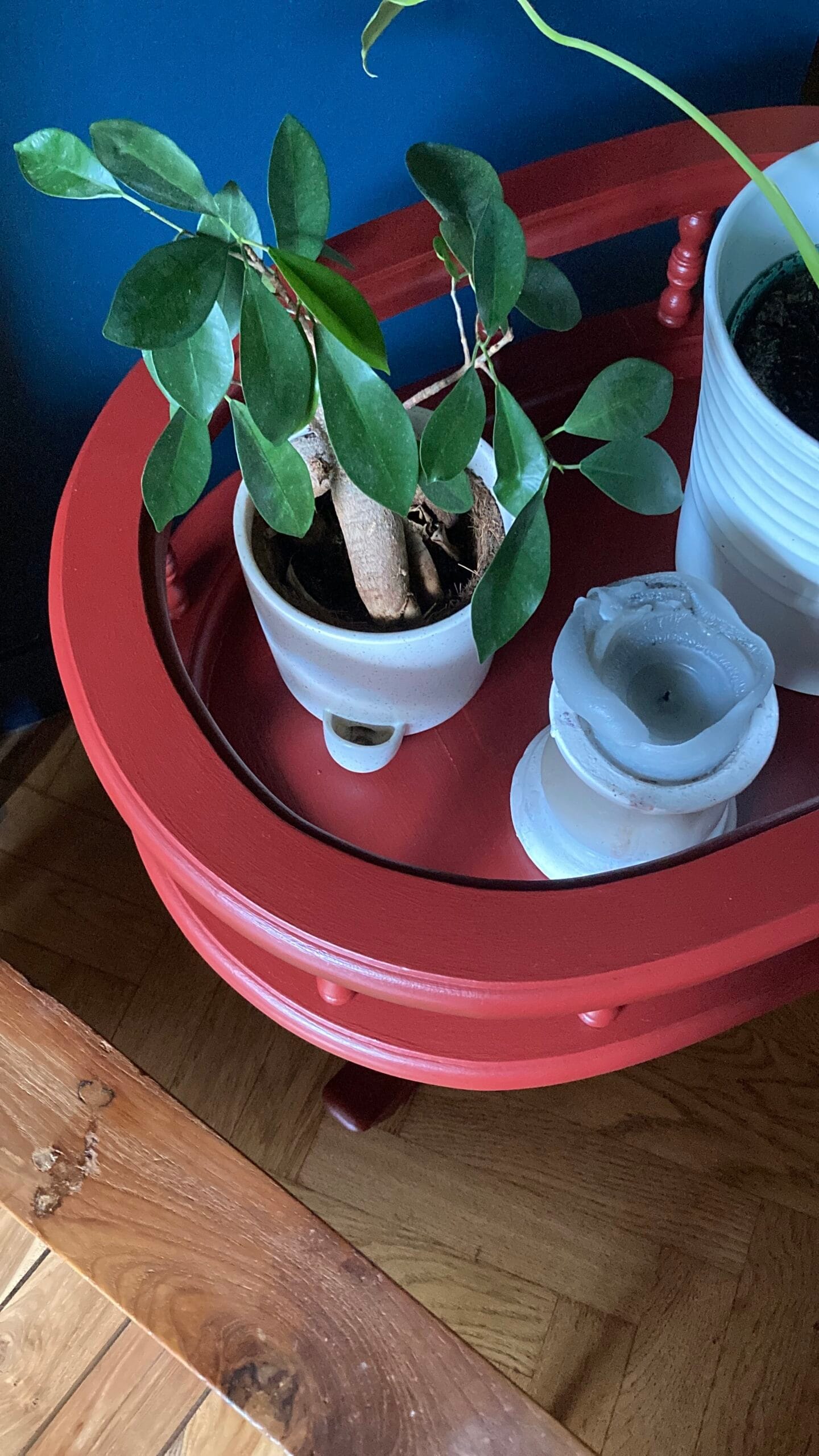 La Jardinière des années 50 – Image 3