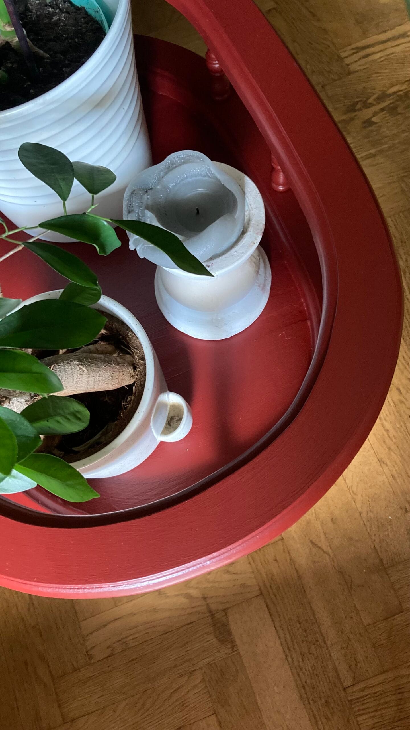 La Jardinière des années 50 – Image 8